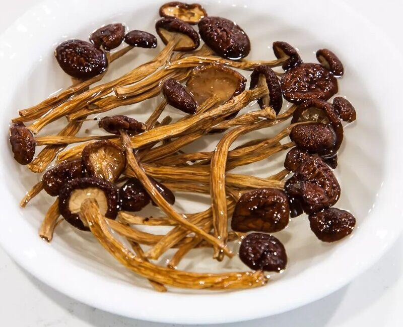 Tea Tree Mushrooms
