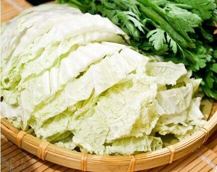Napa Cabbage