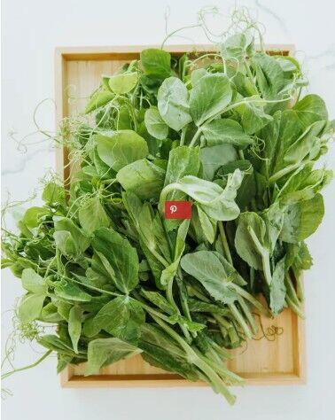Pea Tips