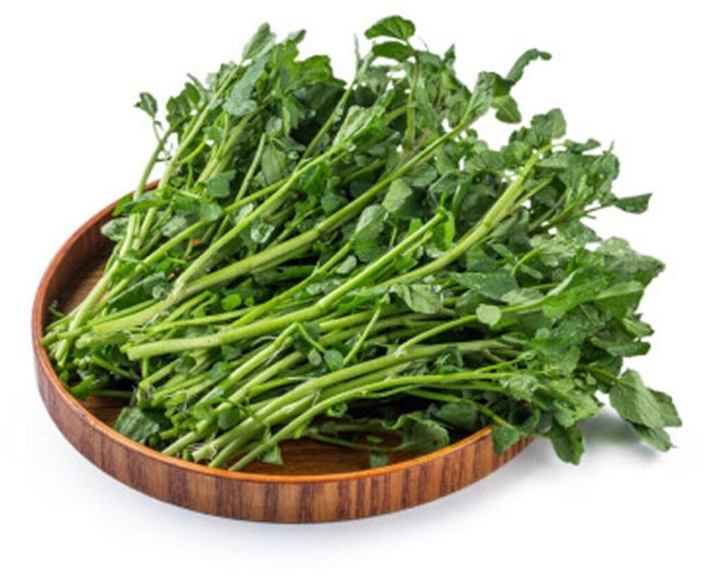 Watercress