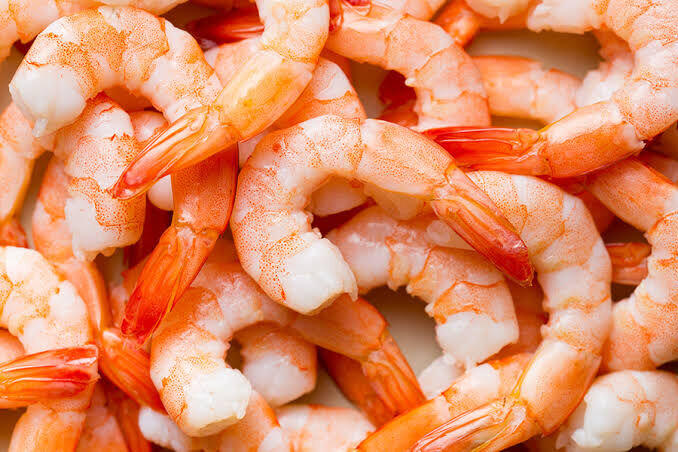 Shrimp