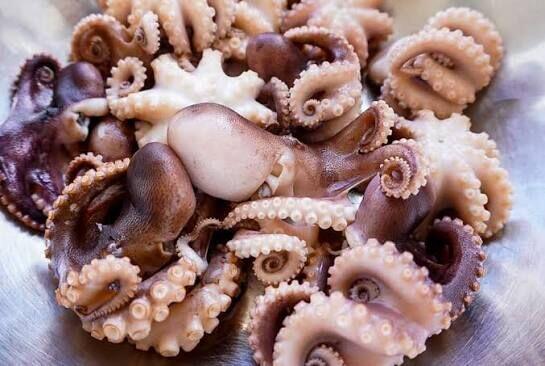Spicy Baby Octopus