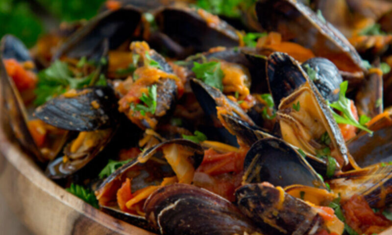 Mussels