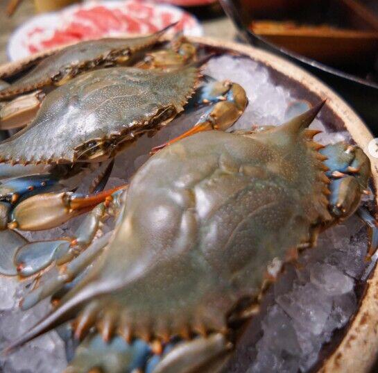Blue Crab