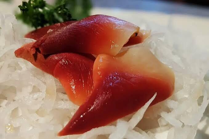 Surf Clam